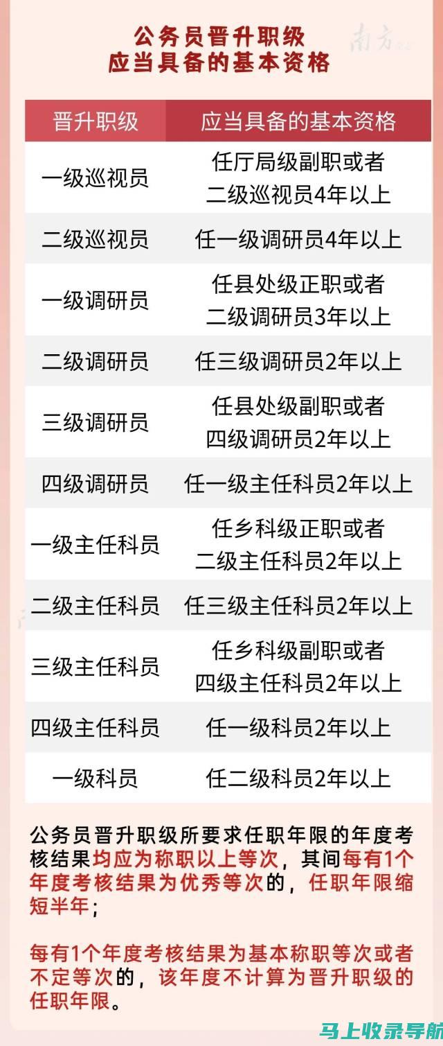 站长职位等级详解：企业管理的关键一环